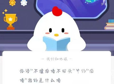 ��ײ��ǽ����ͷ�е���ǽָ����ʲôǽ