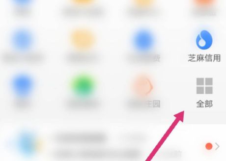 ֧�������뽻��12123��������