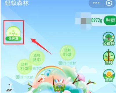 ����ɭ�ֲ�ɫ����ôŪ��ȡ����һ��