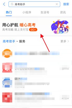 ֧�����߿�����������ѯ��������