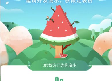 ֧��������ɭ��������װ���÷�������