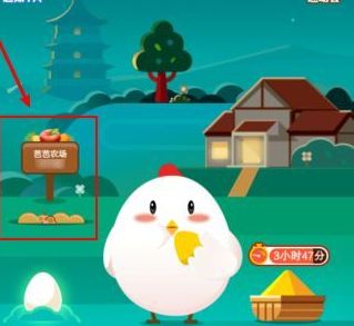 Ϊʲô�ҵ�֧����û�аŰ�ũ��