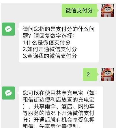 ΢��֧���ֿ�ͨ��ڼ��鿴����һ��