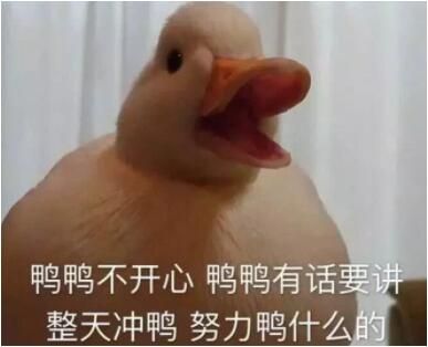 duck������ʲô�� ������˼����������