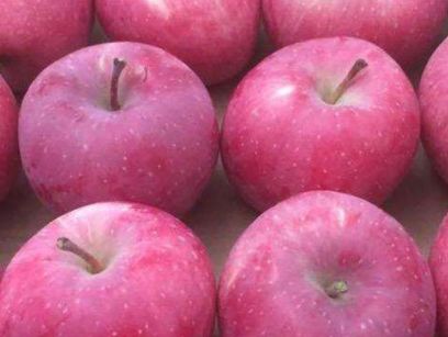 ����ƻ������5Ԫ1�����3ëǮ1���������