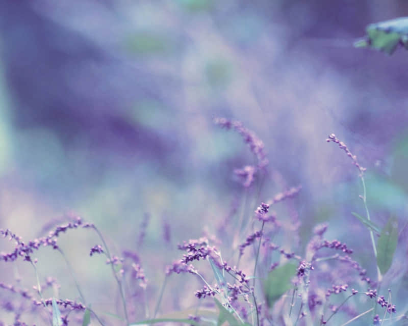 ���簲��Ը�㳿�������Σ���ĺ�л�ϲ