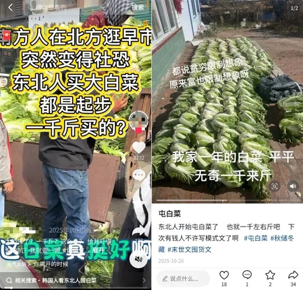 ������ʣ�һ�����챱���˶ڼ��ٽ�ײ� ���ܳ�����