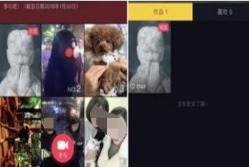 ��Ҷ����涶������Щ׬Ǯ������֪����