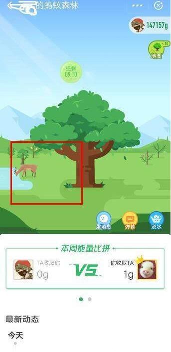 ֧��������ɭ�ֵ�¹����ô���ģ���������ô������¹