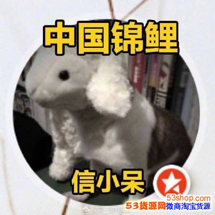 ֧�����й�������ʲô�����С������ʲô����Ʒ�嵥