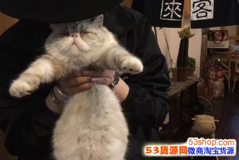 ����˫ʮһ��˵˵��ô����˫ʮһ�ĸ�Ц˵˵���Ӵ�ȫ