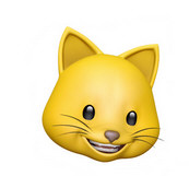 ƻ��iOS12���ұ�������Щ ƻ���ֻ����ұ����ȫ