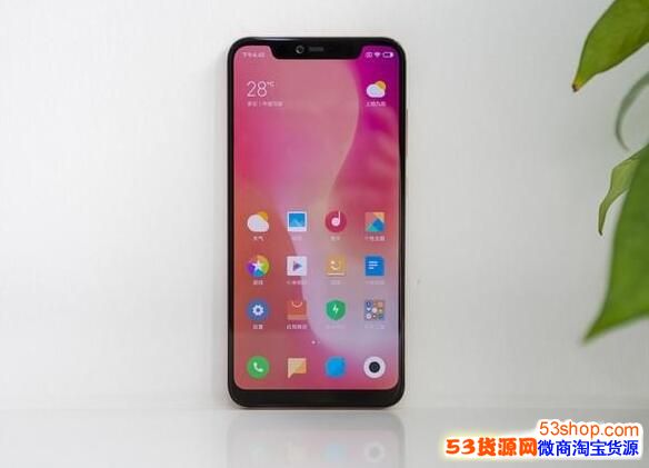 С��8��Ļָ�ư���ô������С��8��׼����ʲô����