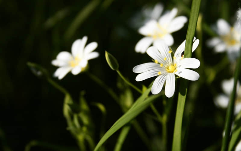 �����Ϸ�������в���??