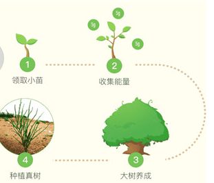 ����ɭ��������ʲô�ã�����ɭ������������Ǯ��