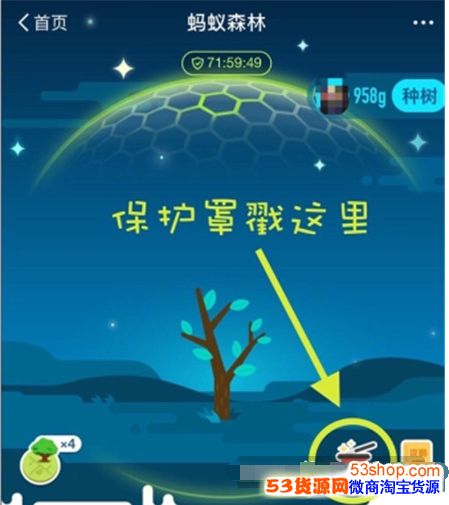 ����ɭ�ֱ��������Ļ�ȡ������ɭ�ֱ�������ô��