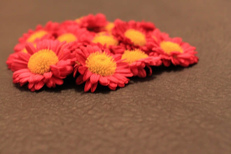 �����������飬Ҳ����ס������˵��