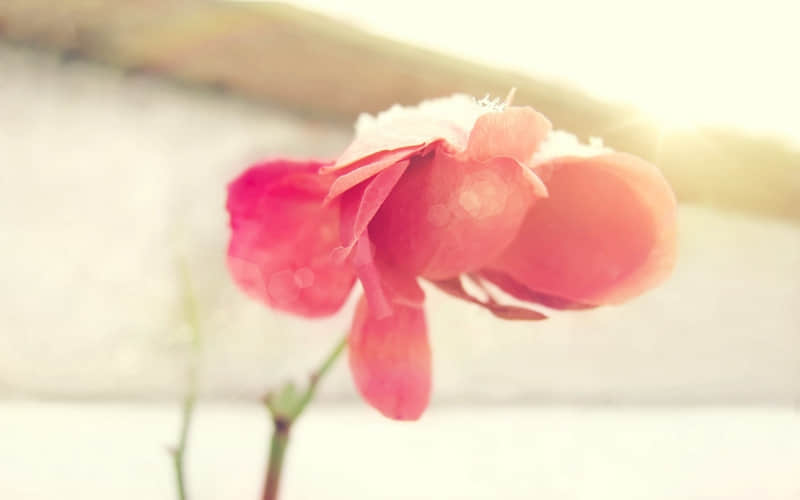 ��?????????????????1?????����?��?Ȧ?????���ֳ���??�İ�????��