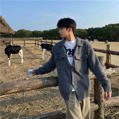 �¸Ҷ���������������(��ѡ100��)