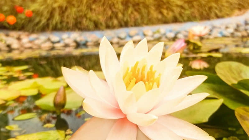 ��2026����ĸ�ǩ�û��ˡ�?????