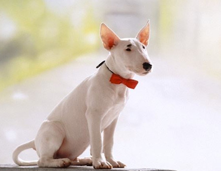 1278���ִ���ʲô��˼��1278��ʲô��