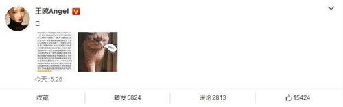 ��Ÿ�����򵽼ٻ�����ô���£���Ÿ������ʲô�ٻ�