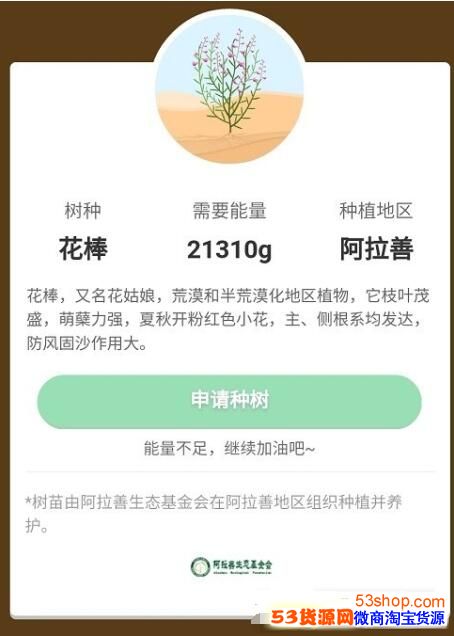 ֧��������ɭ���ֻ�����Ҫ��������������ɭ����ô�ֻ���