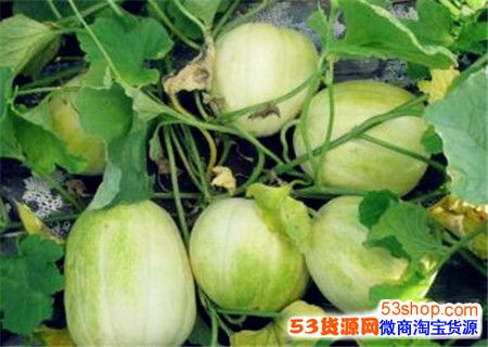 ����Ѽ۸����Ǯһ���ʲôҩ�ü�ֵ��