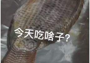 �����ɶ���޷���ʲô������ԭ��Ƶ����