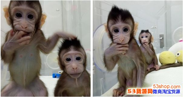 ����������ϸ����¡�����й�������������ЩӰ�죿