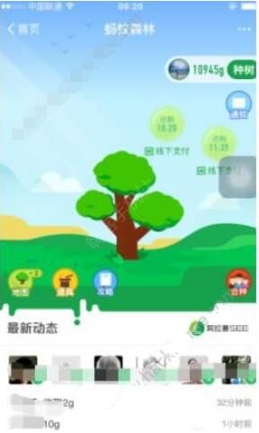 ����ɭ�ֺ�������ô�棿Ϊʲô�ҵ�֧��������������ɭ�ֺ��ֹ���