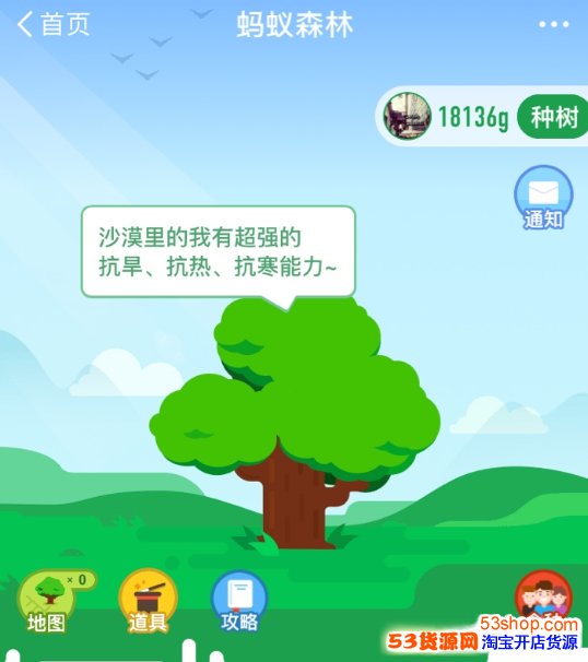 ����ɭ�ֺ�����������ҵ�����ɭ�ֺ�������ô�Ҳ���