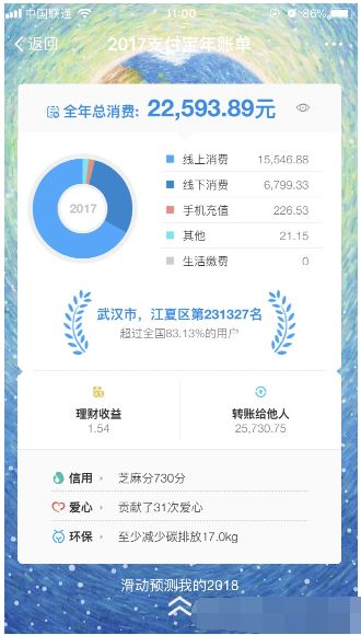 ֧��������������ʲô��˼��֧������������������ʲô