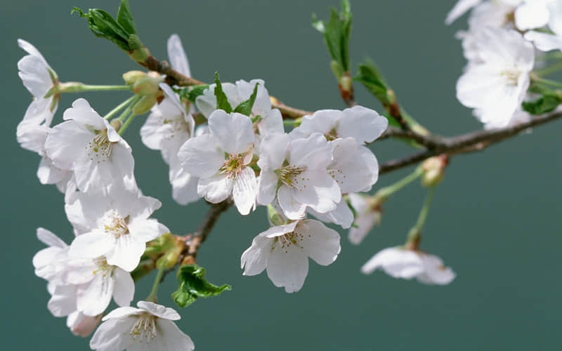 ��2?2?��侭�䣬�����Ϊ���΢���ö��̾�???