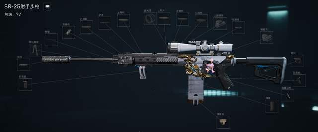 �������ж�s8ȫ��ս��SR25��ǹ����