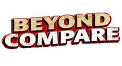 Beyond Compare��ʾ��ǩҳ������ϸ��������