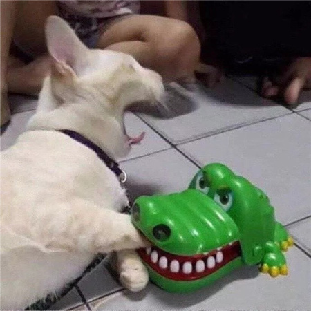 2016�˸���������(��ѡ100��)