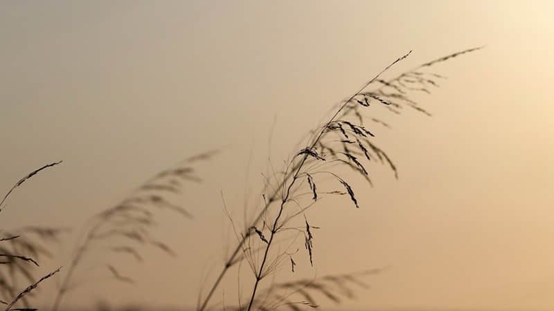 ����һ�䣬�����Լ����ᱻ���޵��İ�??��