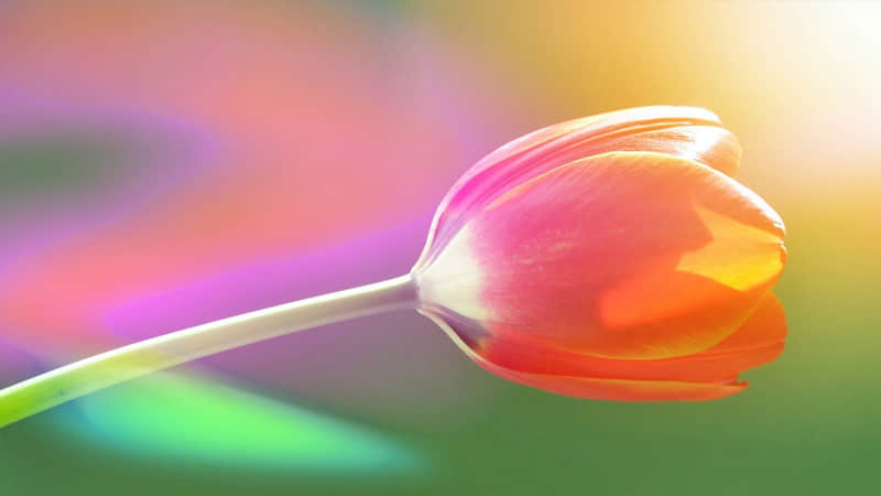 ����ĬŮ�����Ϲ�ʱ����������