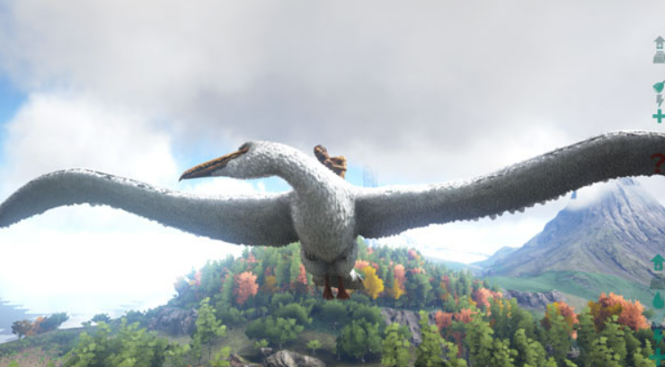 ������������ֻ������ص�ַ����