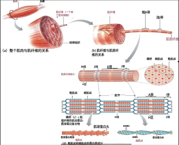 ƽ��֧�Ŷ��������� ������Ϊ����û������