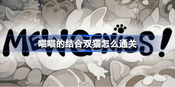 �����Ľ��˫è��ôͨ��