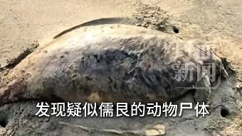 �㶫��̲���֡������㡱ʬ�壺2022���ѹ��������