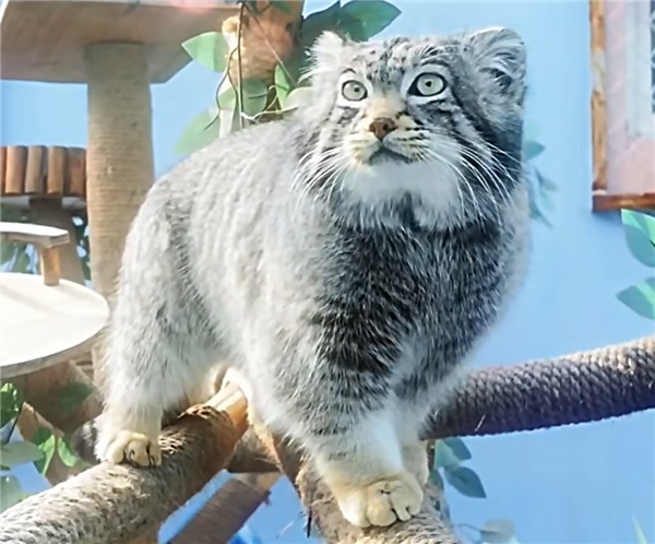 ��˼��ʵ�ң����������㡢Ů�����������������Ҳ��ȥ����