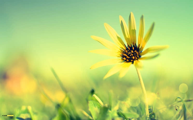 ��һ���Ϸ��ҡ���硱