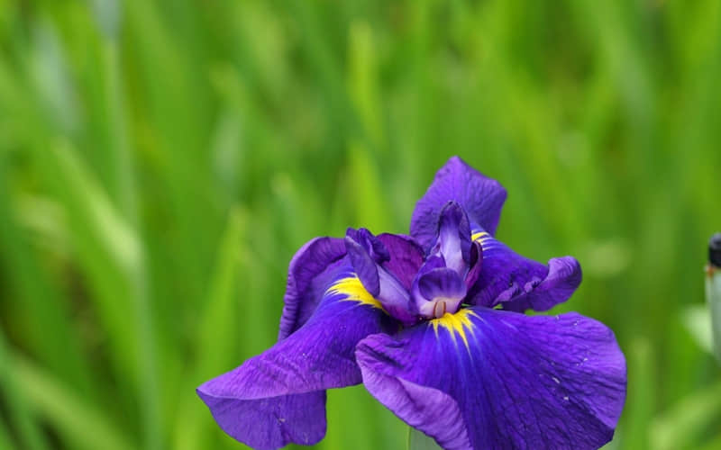 ����������ԭ�����ۣ�����д����ô�ۡ�