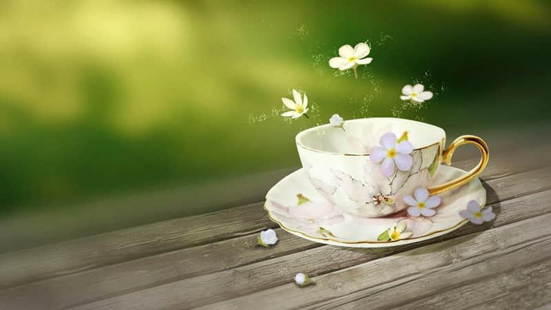 ��ԭ�����ۿ���д����ô�ۡ�??