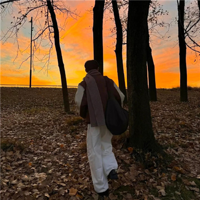 �������ʸ�����������(��ѡ100��)