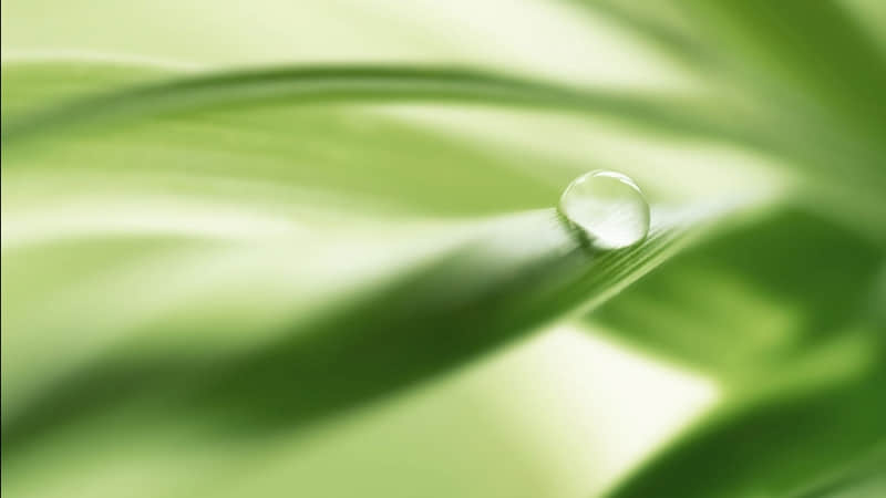 ������ͨ������Խ�����������������㡫��