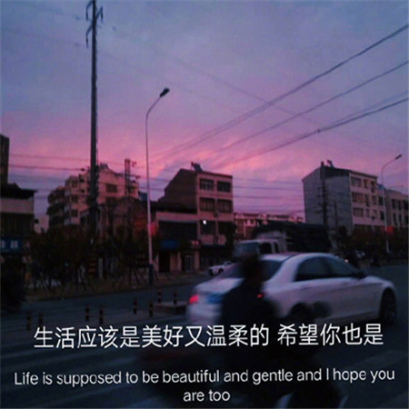 �����׺����������˸�(��ѡ100��)